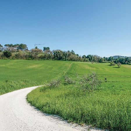 Strada Dei Condotti 佩萨罗 外观 照片