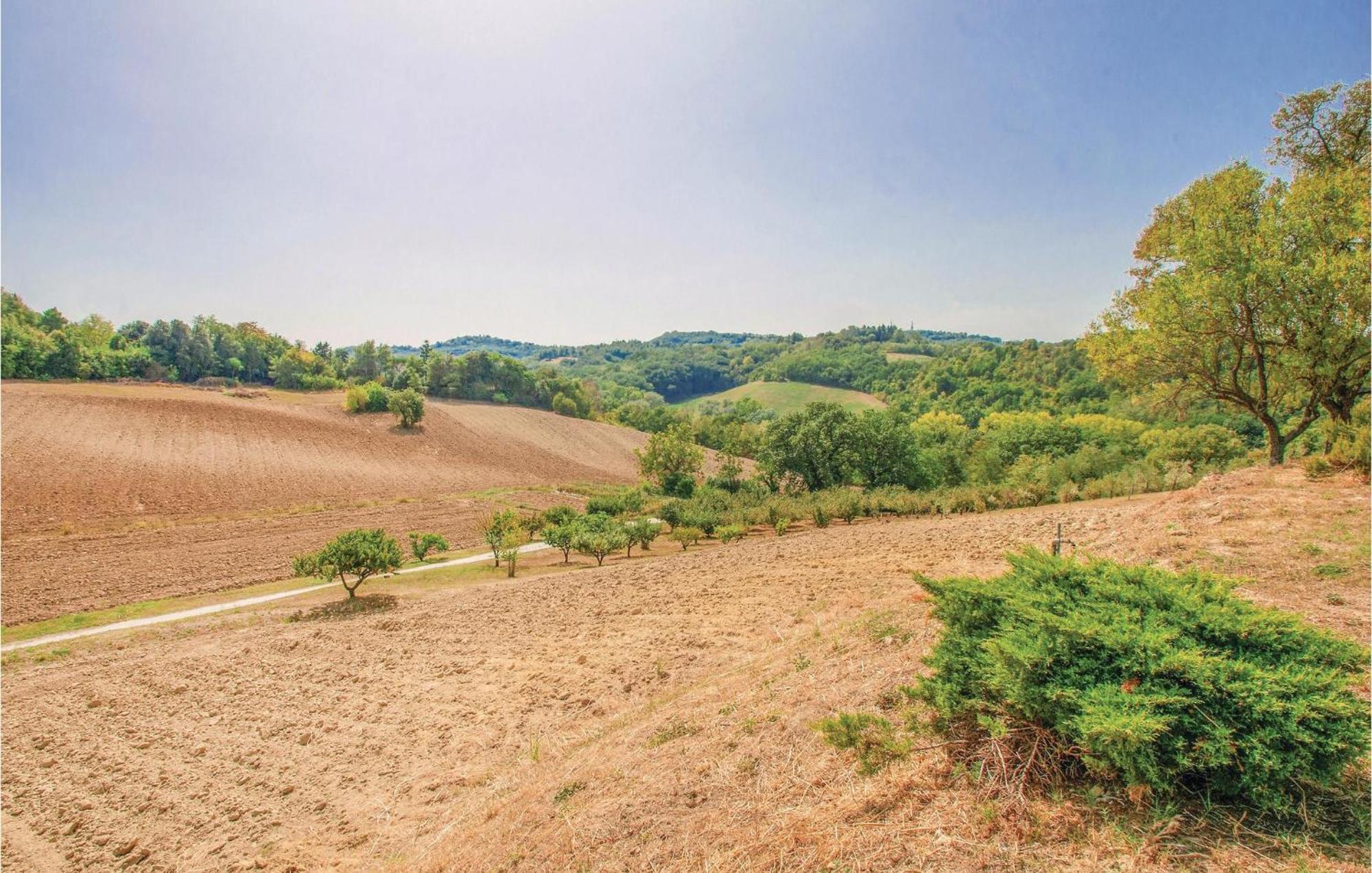 Strada Dei Condotti 佩萨罗 外观 照片