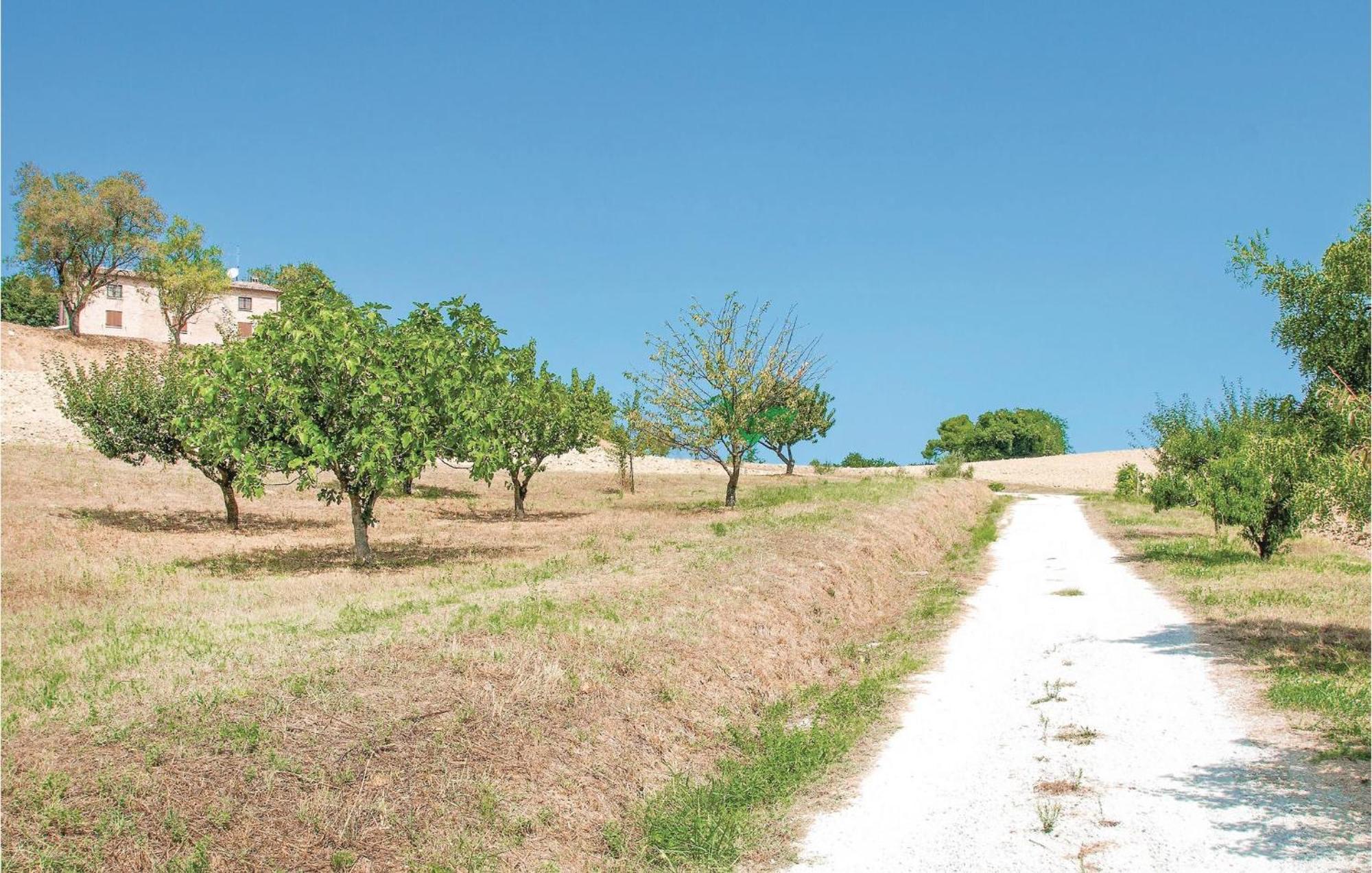 Strada Dei Condotti 佩萨罗 外观 照片