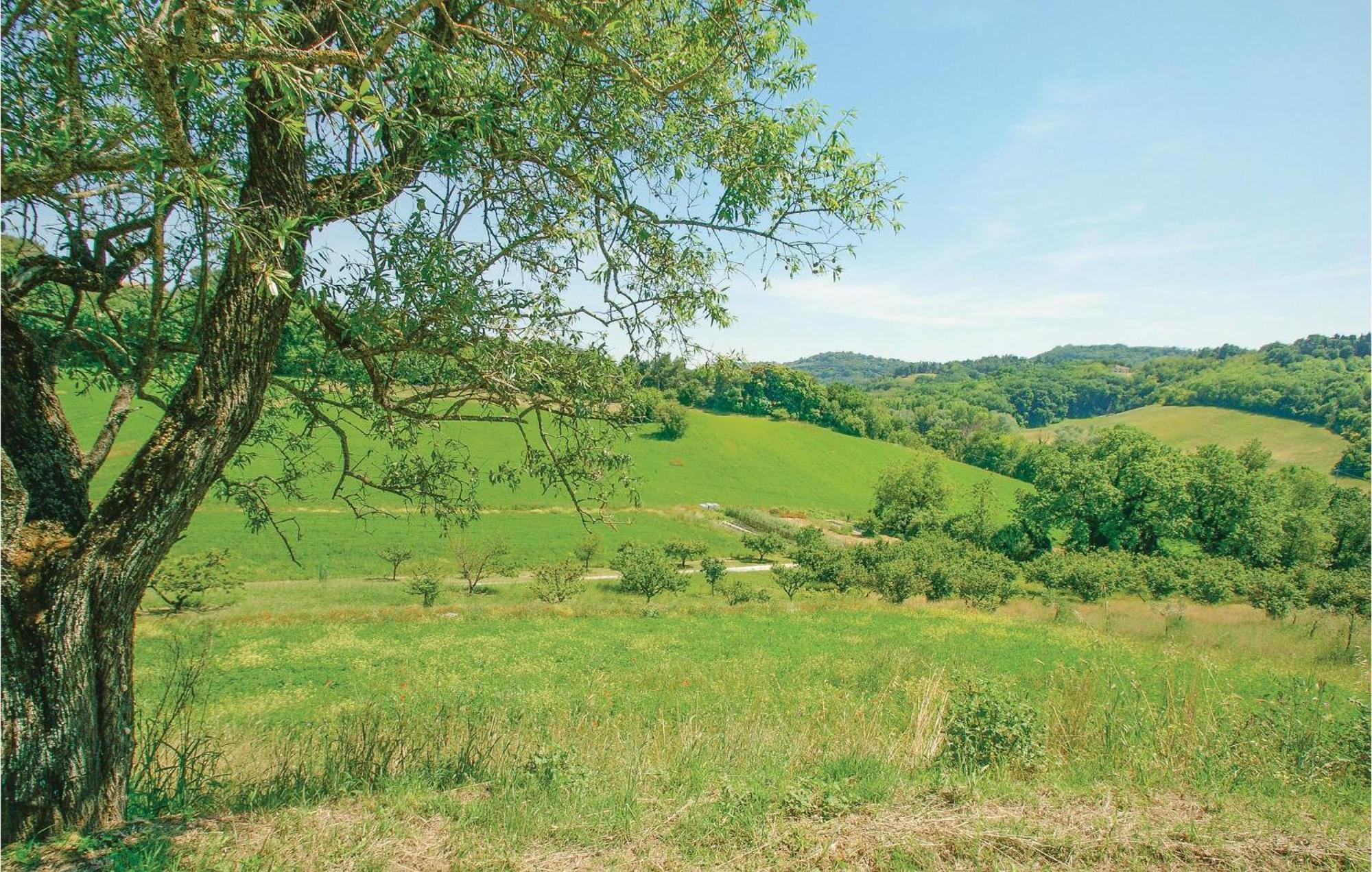 Strada Dei Condotti 佩萨罗 外观 照片